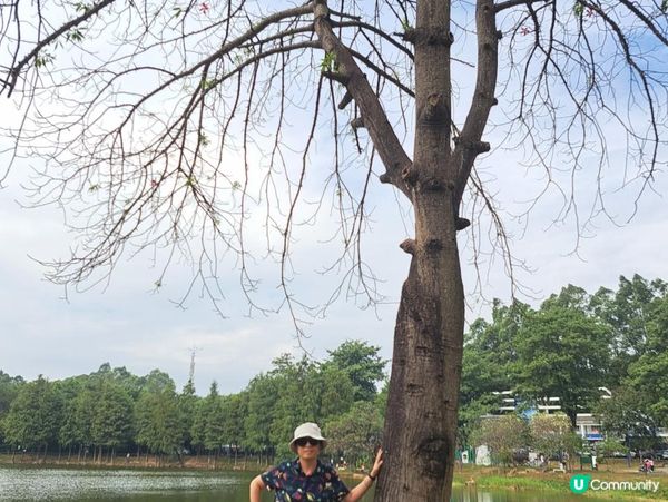 《東莞一日遊》松山湖華為歐洲小鎮，西溪古村