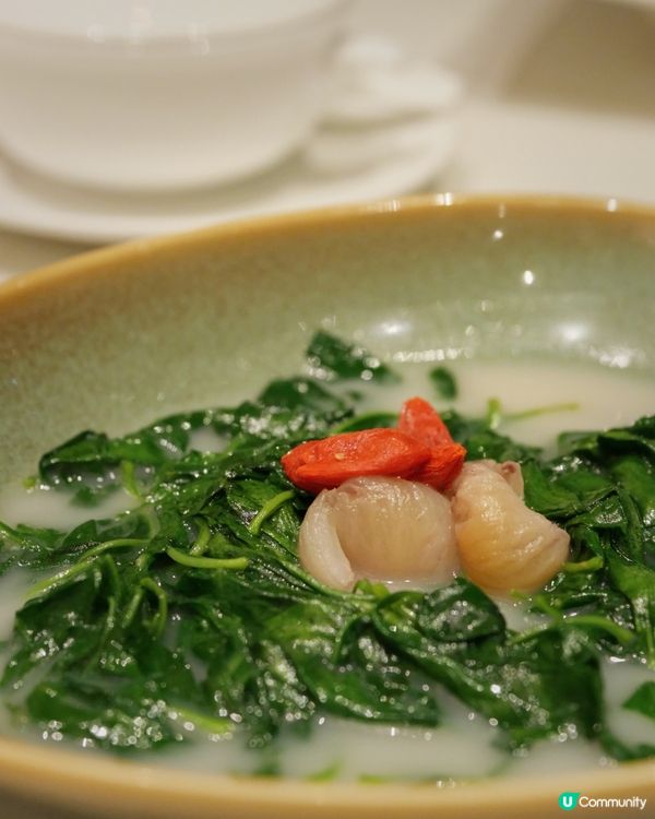 銅鑼灣富豪金殿！$680有齊花膠､海參､龍蝦🦞､鵝掌🥢