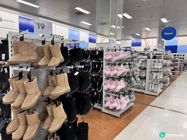 [澳洲寶藏購物地——Big W!]🛍️