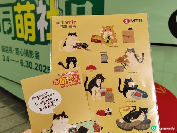 中環站貓咪展覽🐱  打卡必去！