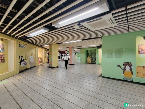 中環站貓咪展覽🐱  打卡必去！