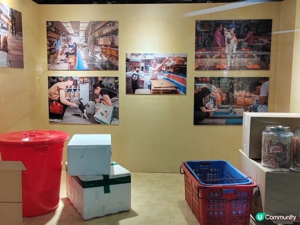 中環站貓咪展覽🐱  打卡必去！