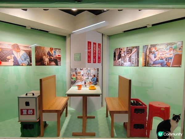 中環站貓咪展覽🐱  打卡必去！