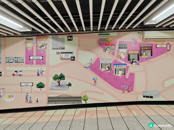 中環站貓咪展覽🐱  打卡必去！