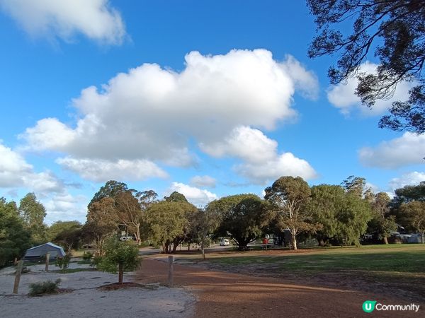 [西澳毛孩s] 今年第一次露營 ⛺