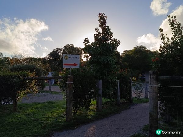 [西澳毛孩s] 今年第一次露營 ⛺