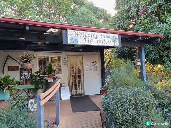 [西澳毛孩s] 今年第一次露營 ⛺