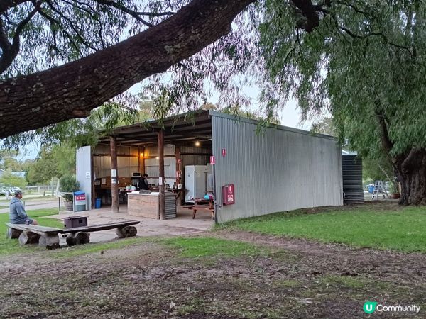 [西澳毛孩s] 今年第一次露營 ⛺