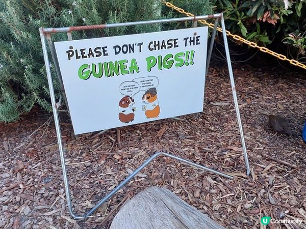 [西澳毛孩s] 今年第一次露營 ⛺