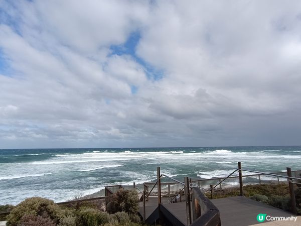 [西澳毛孩s] 今年第一次露營 ⛺