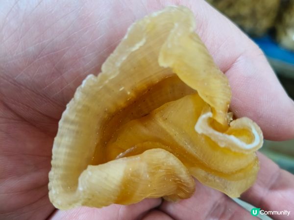 五一沙扒灣美食之旅 🦐🦀🦪