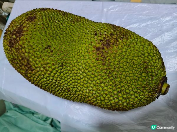 五一沙扒灣美食之旅 🦐🦀🦪