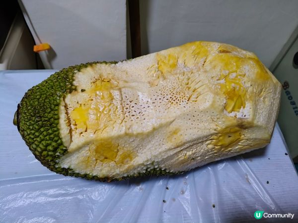 五一沙扒灣美食之旅 🦐🦀🦪