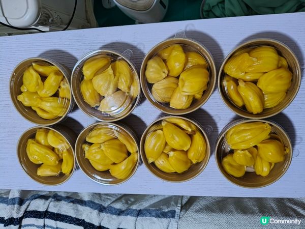 五一沙扒灣美食之旅 🦐🦀🦪