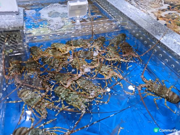 永安中山為食旅行團🎉🤤😋