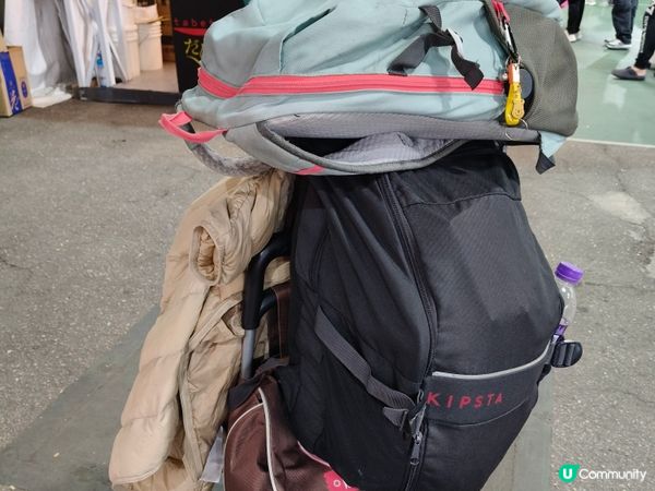 工展會掃貨記！🥭糯米糍伏咗？ 😭