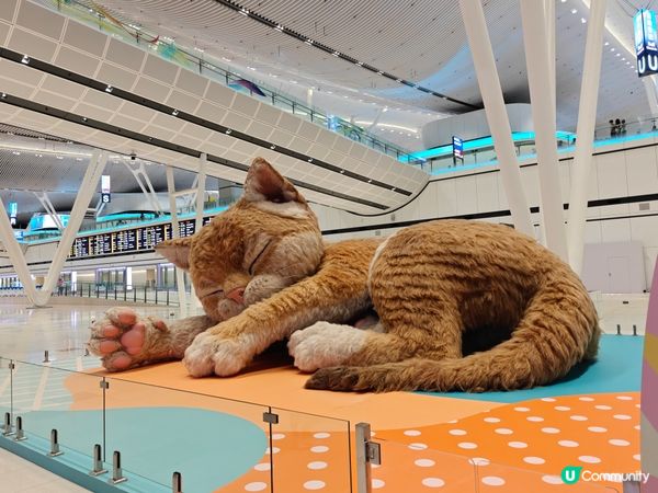 🎉welcome to T2🎈