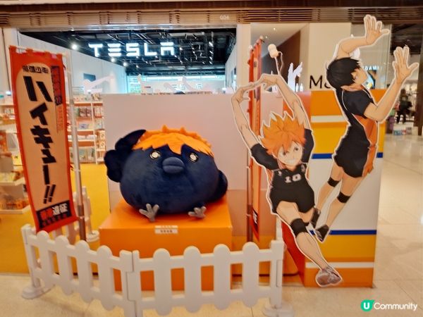 《排球少年》期間限定店

