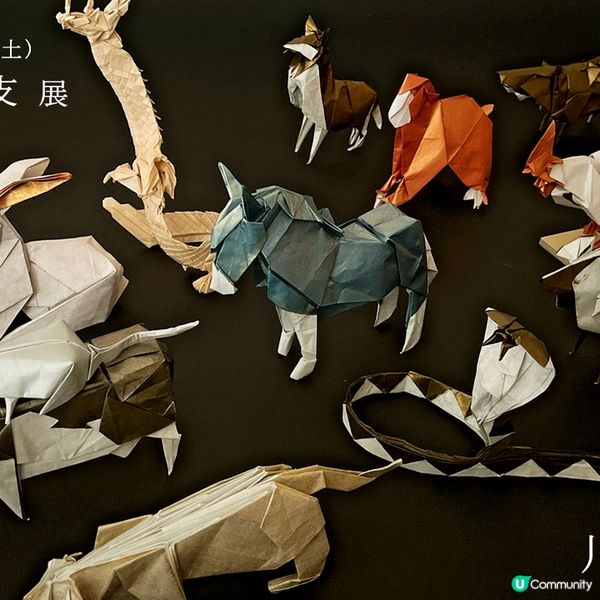 🇯🇵和紙愛好者天堂 特式紙品專賣店