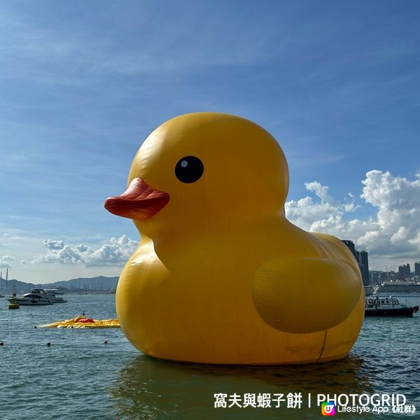 遊香港．孤單的黃色巨鴨