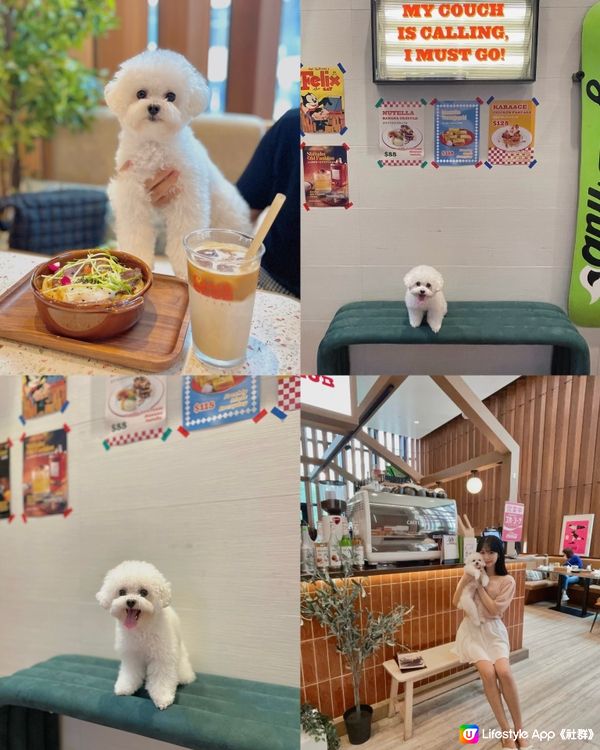 銅鑼灣🐶復古風寵物友善cafe