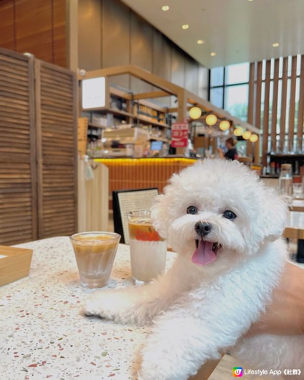 銅鑼灣🐶復古風寵物友善cafe