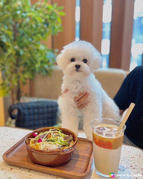 銅鑼灣🐶復古風寵物友善cafe