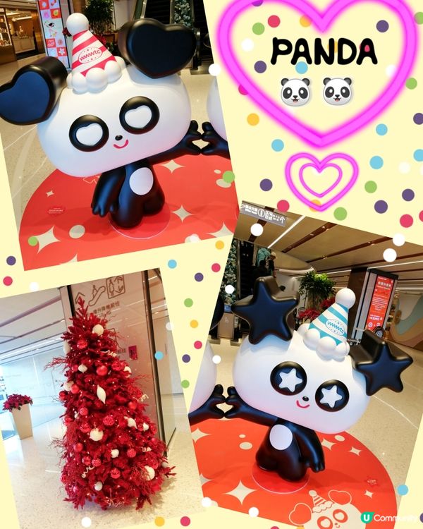 銅鑼灣世貿中心 - 聖誕熊貓樂園🐼🐼🎄😊😊🧡💜