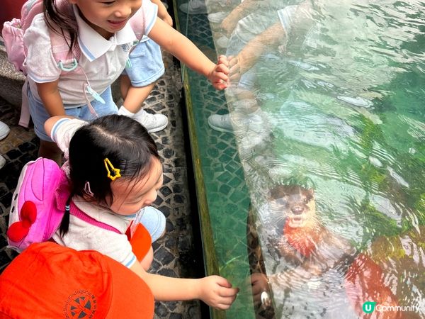 大尾篤家庭式單車，大尾篤船仔之旅，海洋公園體驗之旅，石澳沙灘...