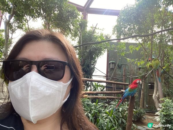 以為戴咗口罩就唔使塗防晒？以為冬天就唔怕太陽？太天真了。
