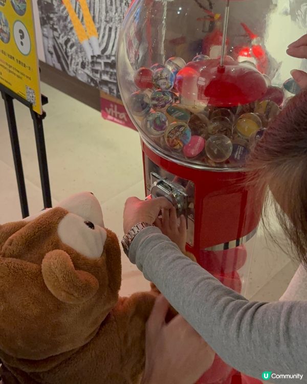 Airside 之城市叢林歷險記！🐶🕊️🐗