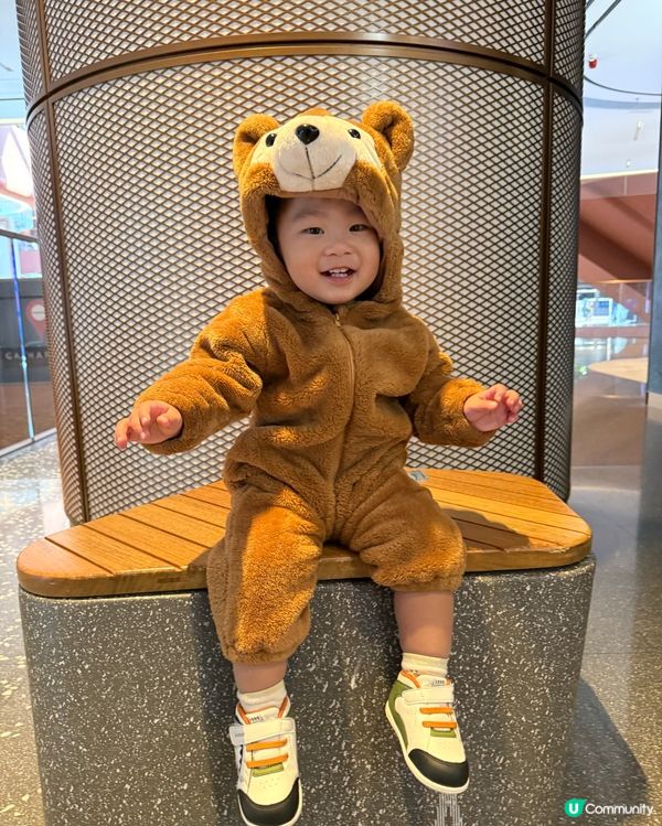 Airside 之城市叢林歷險記！🐶🕊️🐗