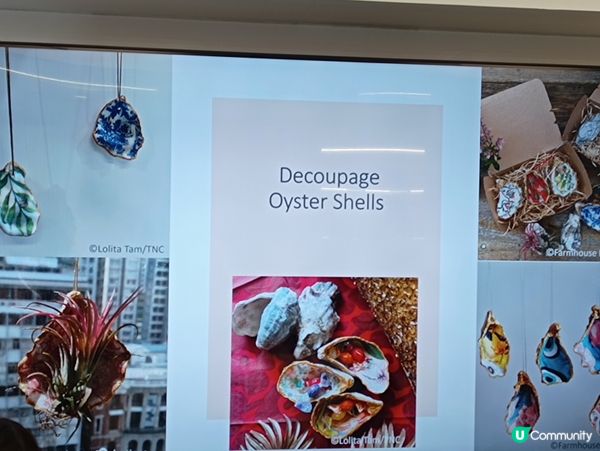 蠔殼升級再做工作坊🦪