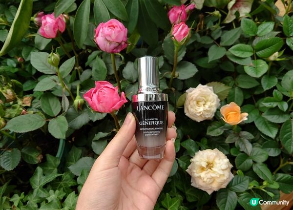 Lancôme Advanced Génifique 小黑瓶 成為我最愛的精華