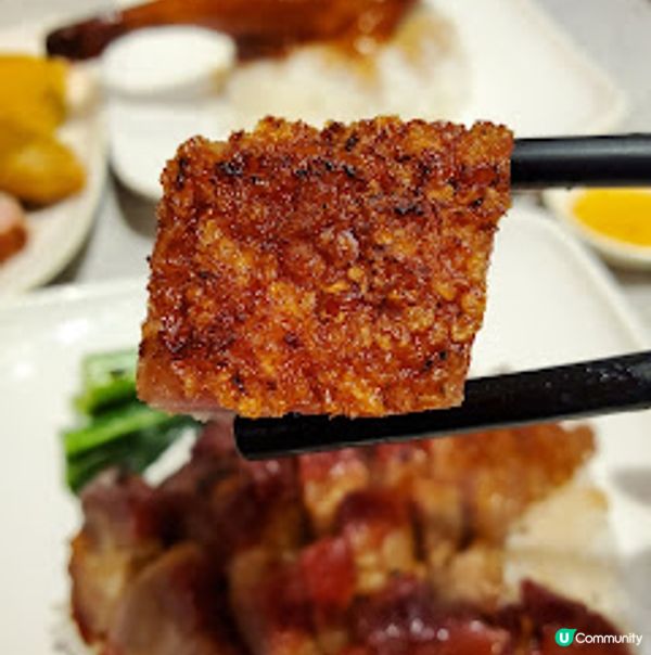 宏發燒鵝餐室．三十年功力無花假！