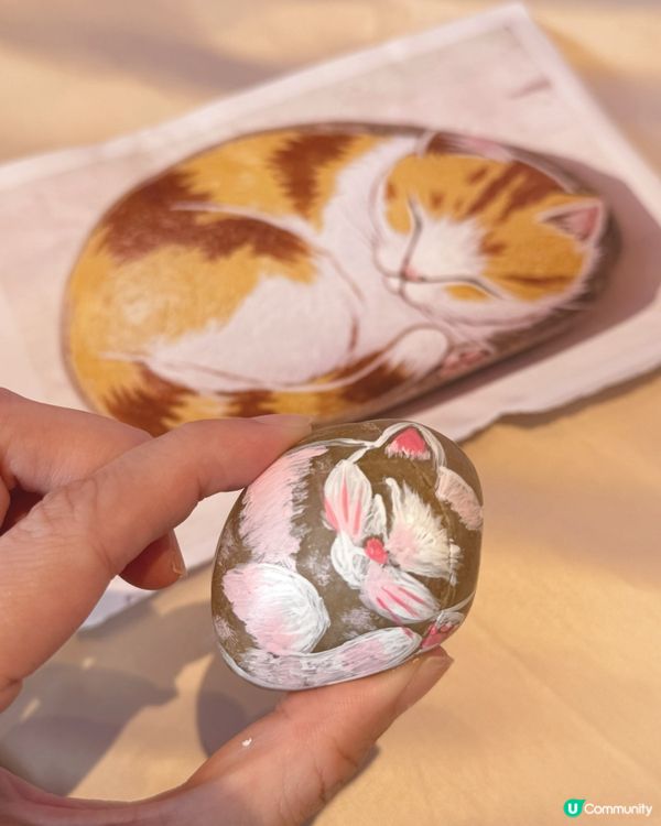 閒嘆藝遊 📸 帶毛孩去愉景灣打卡放電🐶🐱
