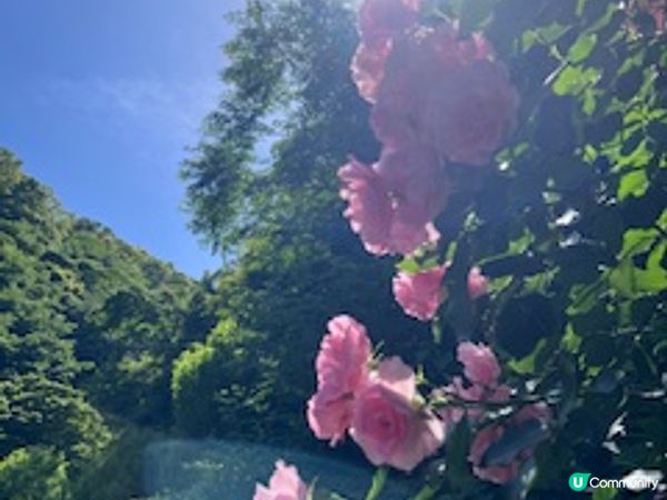 旅遊打卡熱點：