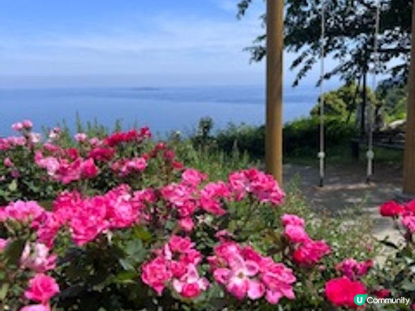 旅遊打卡熱點：