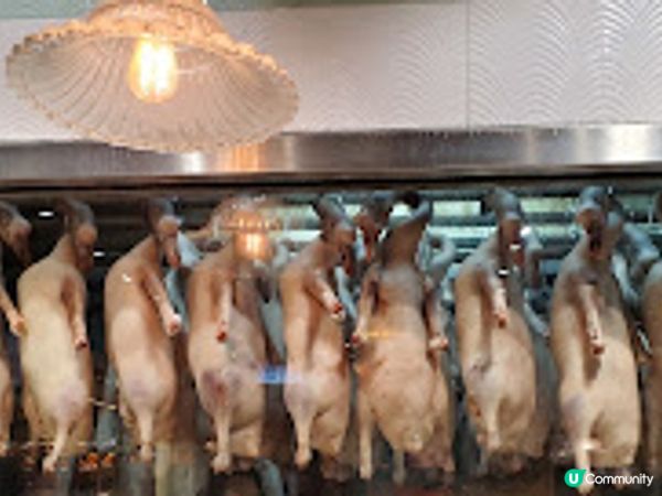 大壹燒鵝．必食驚喜腩叉