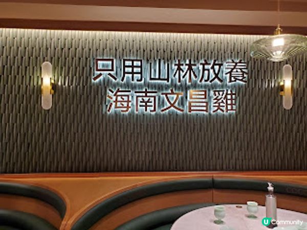 四季椰林海南椰子雞——冬日必食，暖心又暖胃