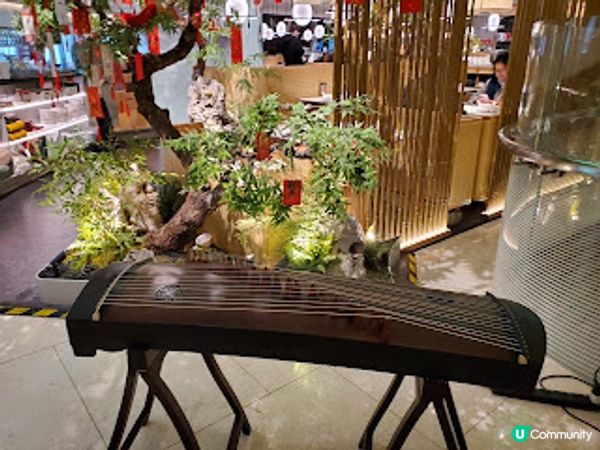 綠茶餐廳．必食過江龍