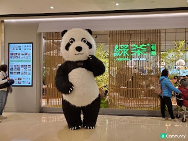 綠茶餐廳．奧海城嘅江南風情