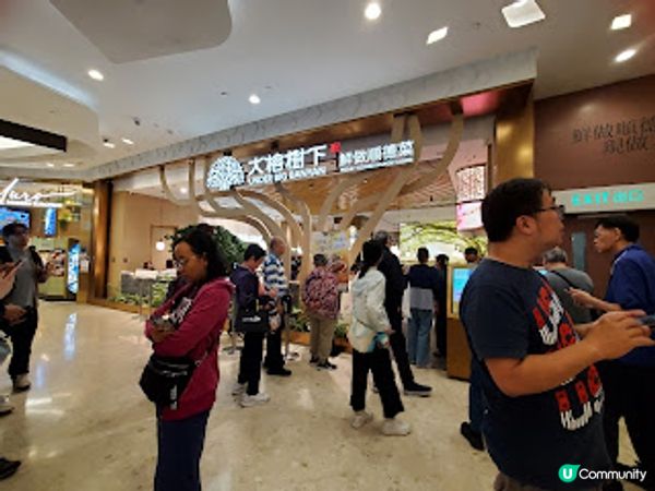 大榕樹下．尋味順德@青衣城