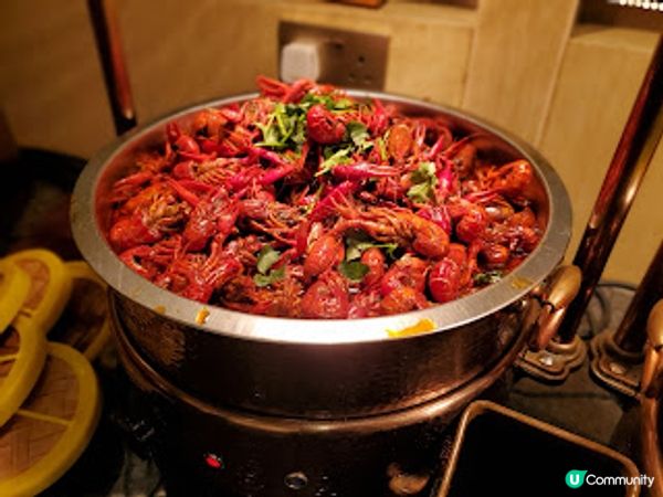 殿·大喜屋．任食波士頓龍蝦鱘魚子醬！高級食材多到食唔晒！