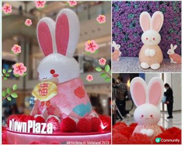 新春佈置周圍look