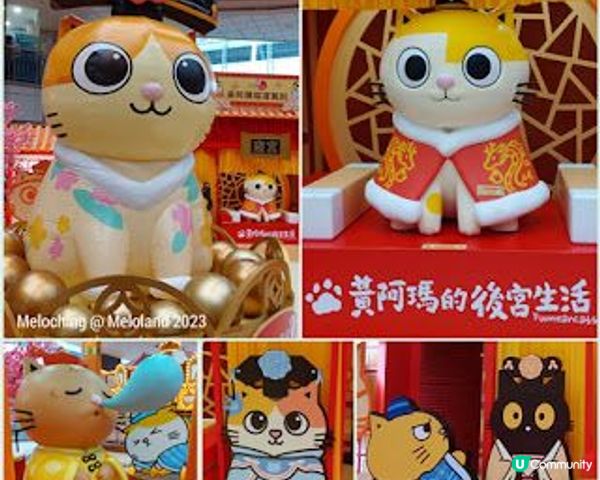 新春佈置周圍look