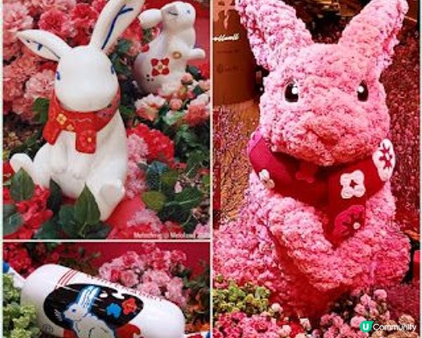 新春佈置周圍look