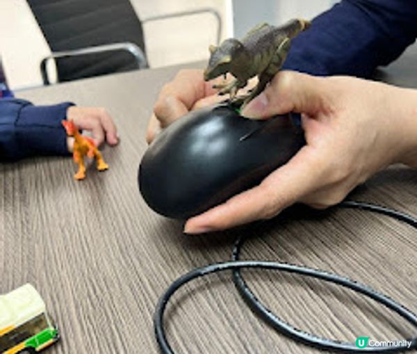 從專業分析。深入了解孩子的潛能 DR. MARK的皮紋分析