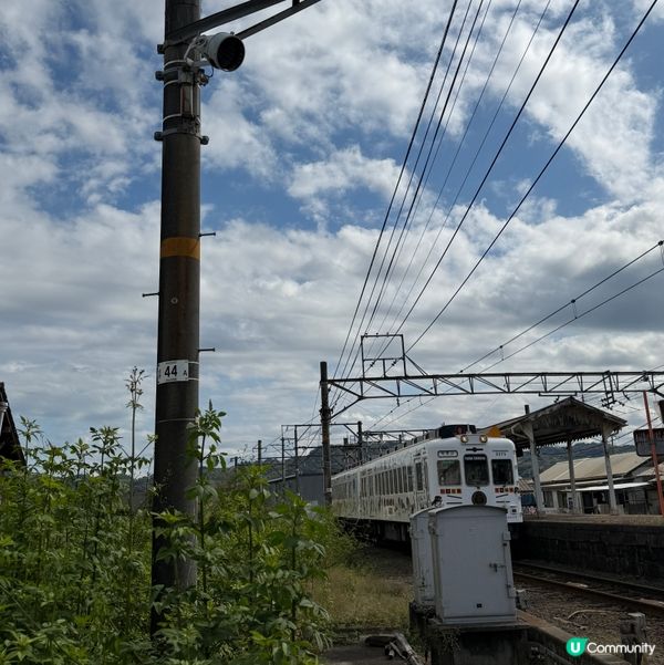 白浜X和歌山一日游