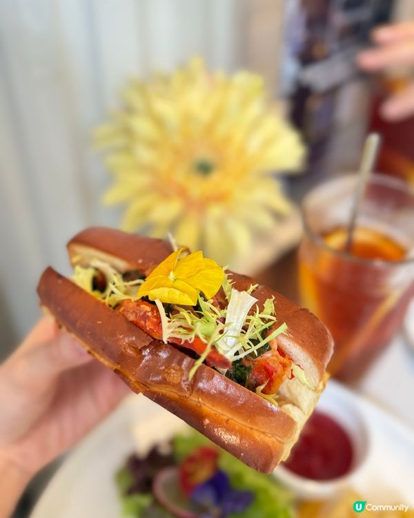 荔枝角文青餐廳🤤！午餐有意粉龍蝦包！🍝🦞